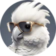 giovy88